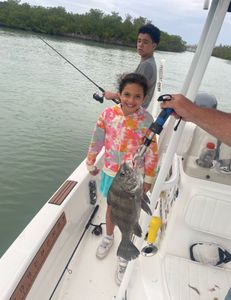 Black Drum fish caught during cruises, fishing, and tours in Marco Island