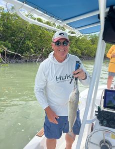 Redfish caught on a fishing tour in Marco Island