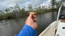 Waiting on the next catch.