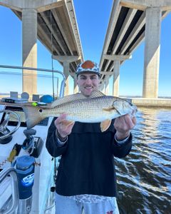 Choctawhatchee Bay fishing trips underway.