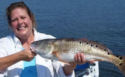 A single angler fishing in the scenic Santa Rosa Beach