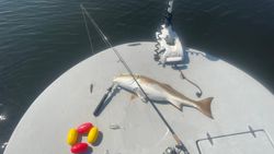 Best fishing trip at Santa Rosa Beach