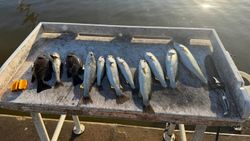 10 fishing in FL