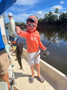 Hardhead Sea Catfish caught fishing in Santa Rosa Beach