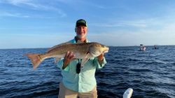 Redfish caught in Santa Rosa Beach
