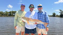 Redfish, 32-inch catch at Santa Rosa Beach