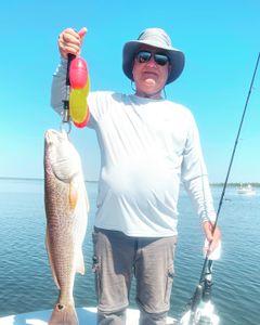 Catch of the day! Redfish caught in Santa Rosa Beach, Florida.