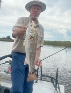 Redfish caught in Santa Rosa Beach