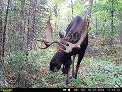 Explore Maine's wilderness and enjoy a day in the field.