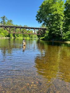 A person fishing in Maine