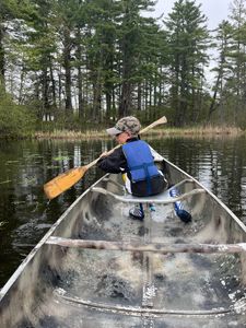 Angler fly fishing in ME