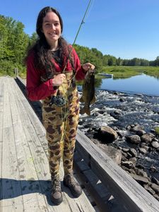 Two fishermen with a 11-inch catch in Brownville