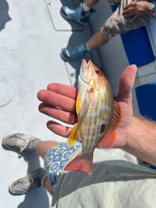 Lone angler fishing in West Palm Beach