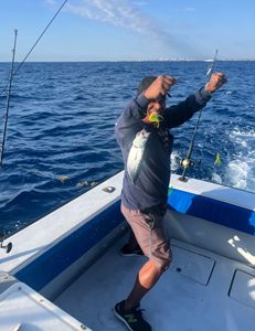 Catching the big one in FL