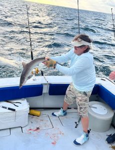 Atlantic Sharpnose Shark fishing in Riviera Beach