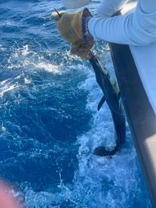 Best fishing adventure in FL