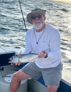 Blackfin tuna caught in West Palm Beach