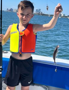 A single Brown Bullhead fish caught in FL