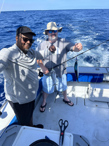 Cast off for an offshore adventure.