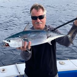 Blackfin Tuna in Florida