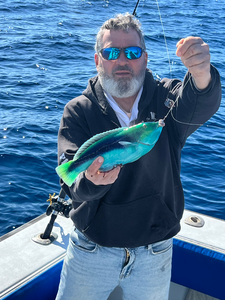 Beautiful colorful catch in West Palm Beach waters!