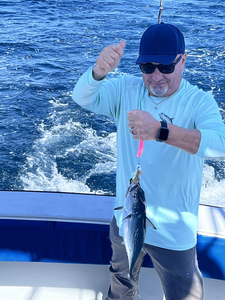 Cruising the open waters with a catch of the day.