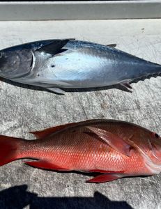 Two anglers fishing in FL