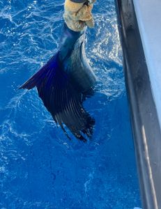 Fishing adventure in FL