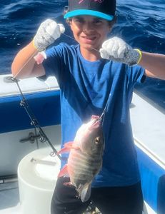 Angler fishing in Florida