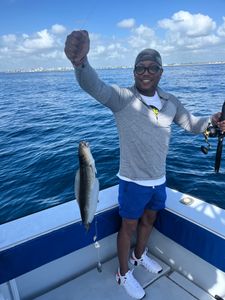 Fishing tour in West Palm Beach