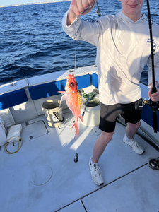 Fishing fun on the open sea!