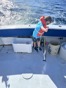 Hooked a big Great Barracuda on the deep sea adventure!