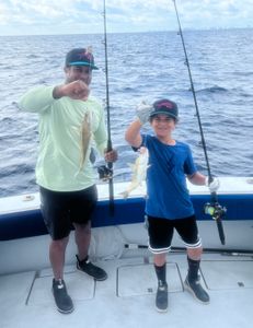 Two Hardhead Sea Catfish in Riviera Beach