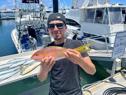 Yellowtail Snapper