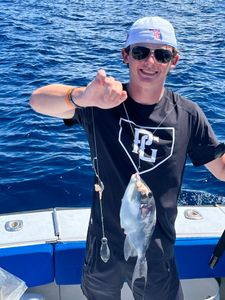 Porgy