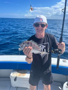 Porgy