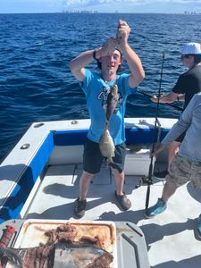 Porgy/French Grunt
