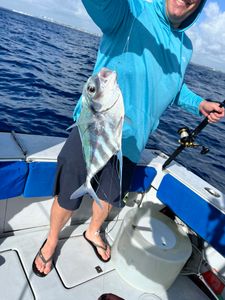 African Pompano