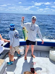 Mahi
