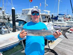 King Mackerel