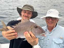 Fish-Species