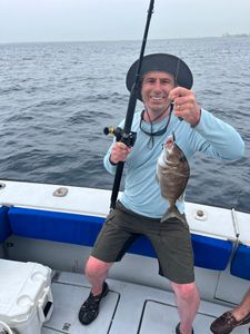 Porgy