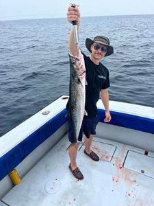KIng Mackerel