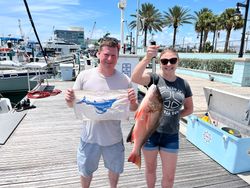 Fish-Species