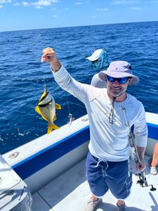 Porkfish