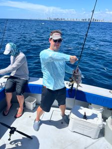 Porgy