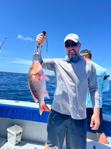 Fish-Species