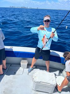 Squirrelfish