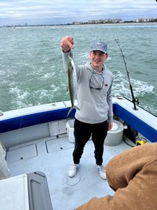 Spanish Mackerel