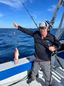 Squirrel Fish
